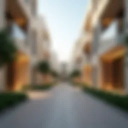 Exploring 1 BHK Rentals in Al Warqa Introduction